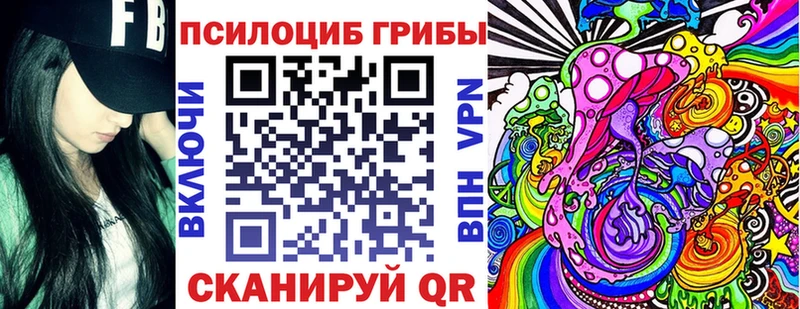 Купить где  Можга  Псилоцибиновые грибы Cubensis 